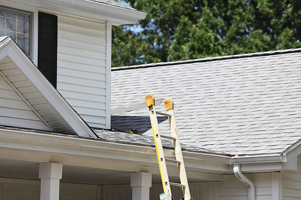 Best Siding for Multi-Family Homes  in Forsyth, MT